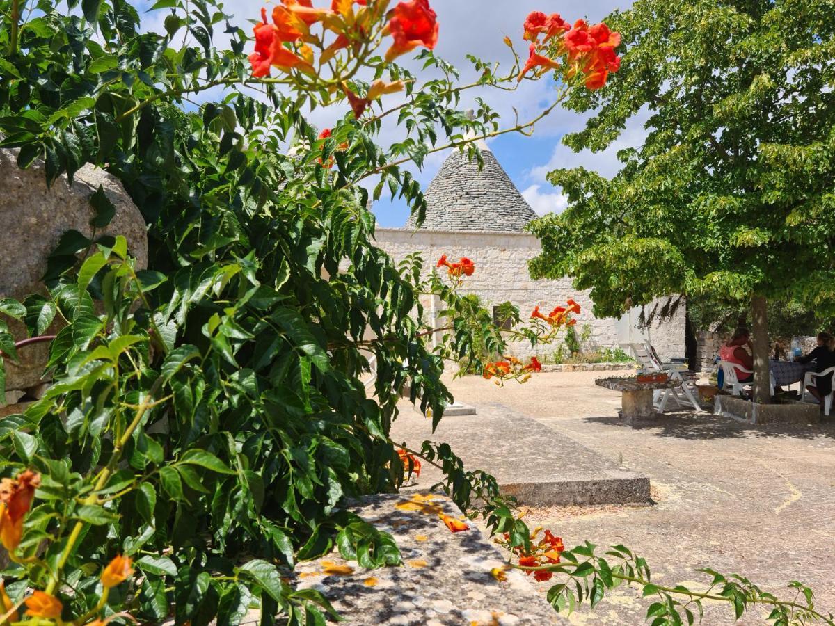 Trulli L'Utopia Di Anny Trulli Anny'S Utopia 로코로톤도 외부 사진