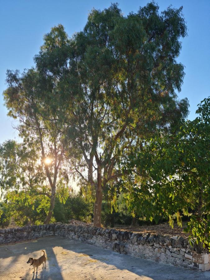 Trulli L'Utopia Di Anny Trulli Anny'S Utopia 로코로톤도 외부 사진