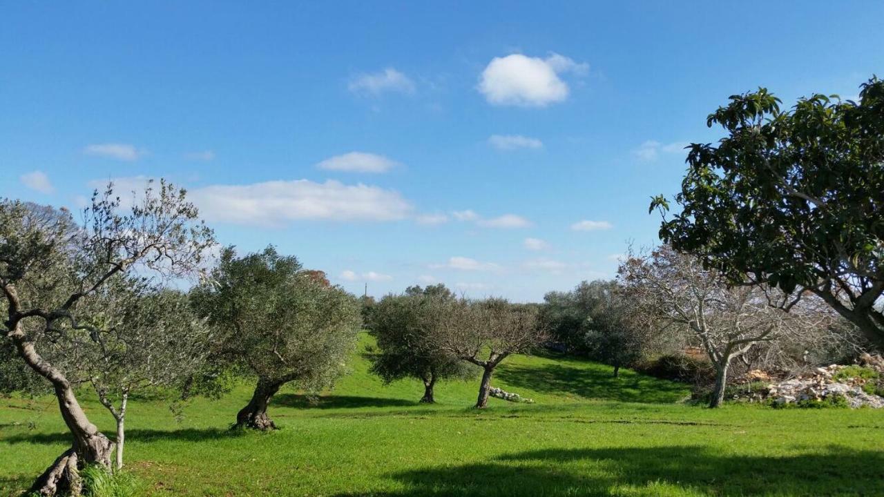 Trulli L'Utopia Di Anny Trulli Anny'S Utopia 로코로톤도 외부 사진
